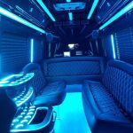 Sprinter Luxury Van Party Bus